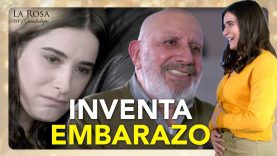 El embarazo falso 2 4