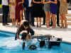 chatgpt-image-11-22-30-13-thg-5-2026-3d1bed4b-4cda-43b8-81f4-b89a0ea9ee4c